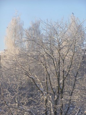 P1100032.jpg