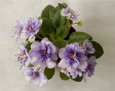 Rob´s cloudy Skies.jpg