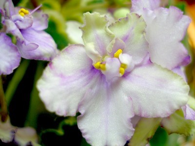 grinn. gr. sport00001.jpg