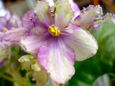 grinn. gr. sport00004.jpg