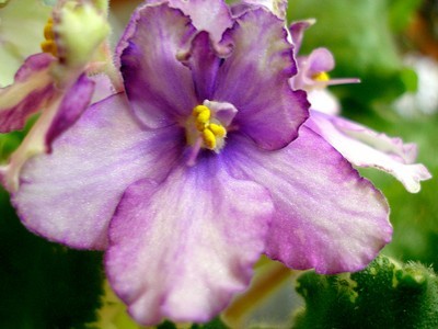 grinn. gr. sport00005.jpg