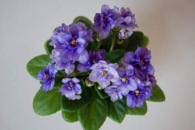 Rob´s Cloudy Skies.jpg