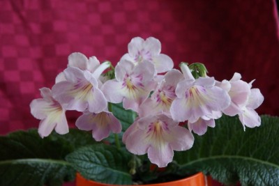 DSC00139 (640x427).jpg