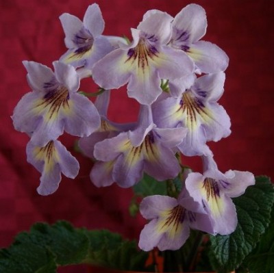 DSC00142 (640x427).jpg