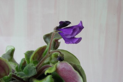 071_1024x682 (2).jpg