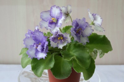 054_1024x682 (2).jpg