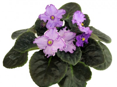 -Кольца Сатурна.JPG