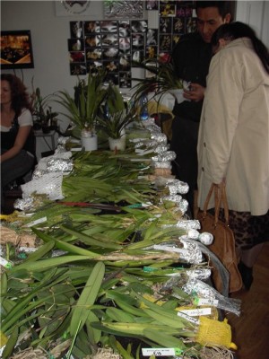 , я и фрагм..jpg