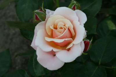 144_1024x682 (2).jpg