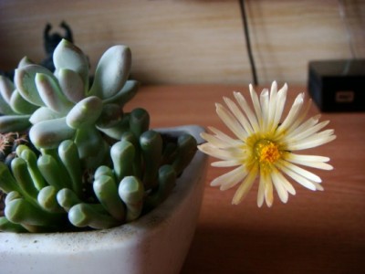 DSC07000 [320x200].JPG