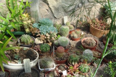 DSC01085 [1600x1200].JPG