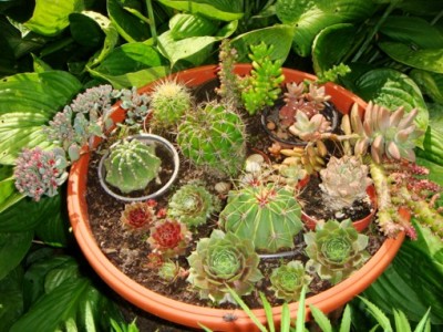 DSC01217 [1600x1200].JPG