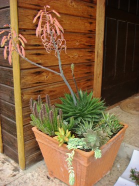 DSC01346 [1600x1200].JPG