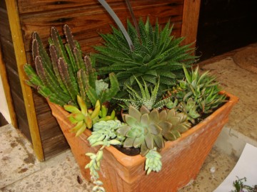 DSC01351 ( 2012) [1600x1200].JPG