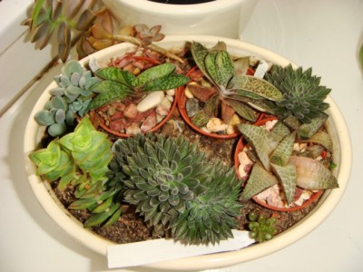 DSC01620 [1600x1200].JPG