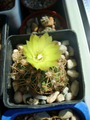 DSC04214 [320x200].JPG