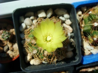 DSC04212 [320x200].JPG