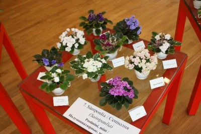 011_640x426.jpg