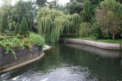 DSCF3793.jpg